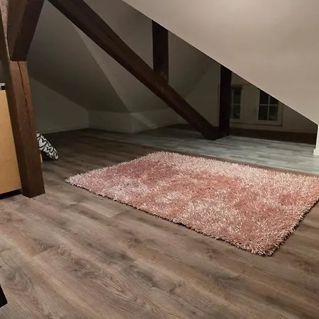 La Tour Du Rempart - T2 En Duplex En Hypercentre De Appartement *